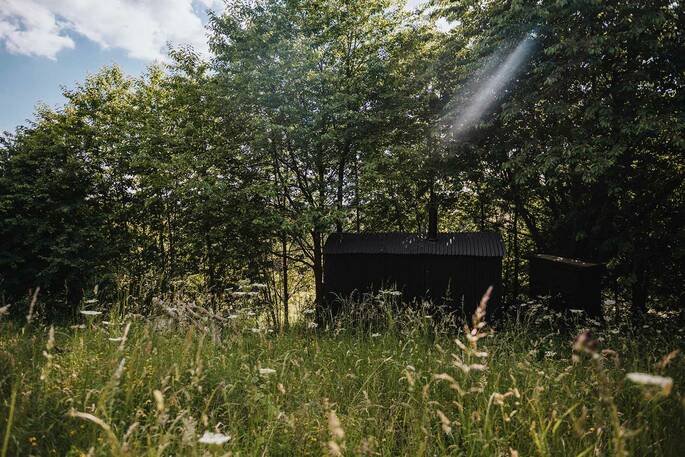 No1 Shepherd's Hut (11)
