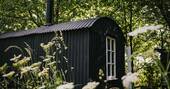 No1 Shepherd's Hut (12)