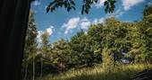 No1 Shepherd's Hut (13)