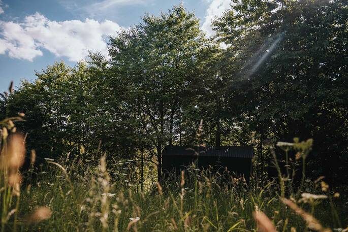 No1 Shepherd's Hut (7)