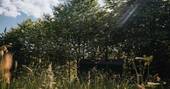 No1 Shepherd's Hut (7)