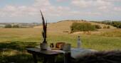 Outdoor dining view