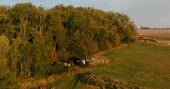 The wagon aerial view