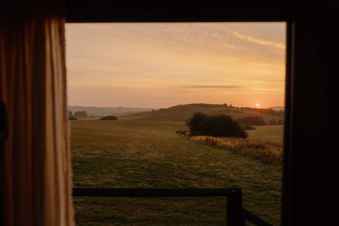 View from the wagon