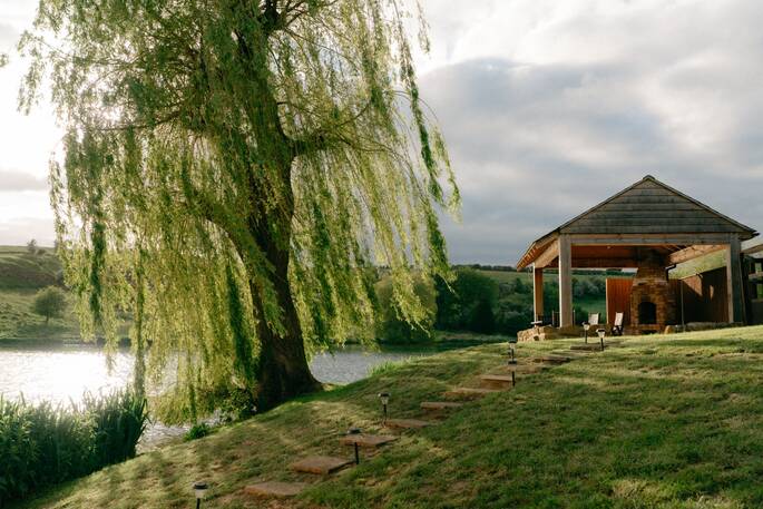 12 Tree and outdoor area