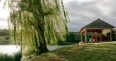 12 Tree and outdoor area