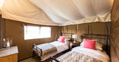 Two single beds inside your safari tent at The Nest in Lincolnshire
