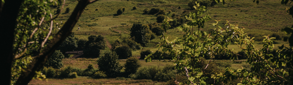 Wold Farm estate image 