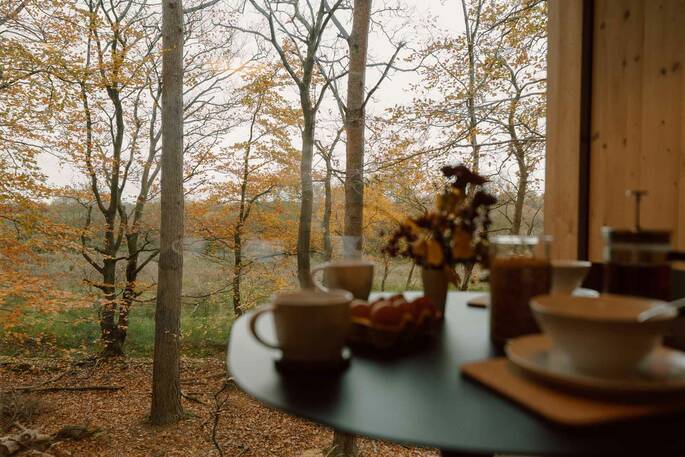 View from the treehouse