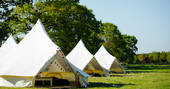 Share the bell tents at The Fire Pit Camp with friends or family and enjoy a private festival in Norfolk