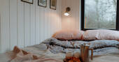 Interior Bedding