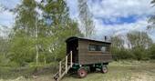 Shepherd's Hut