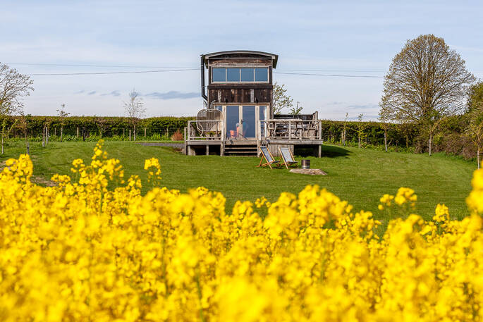 Cabin in yellow field