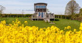 Cabin in yellow field