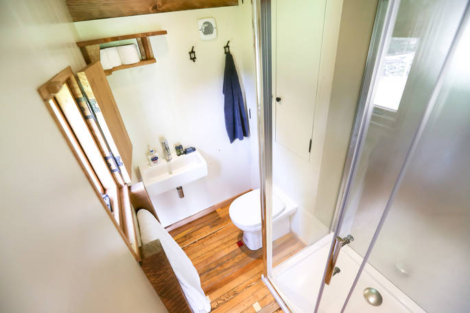 Bathroom with a shower, sink and flushing toilet