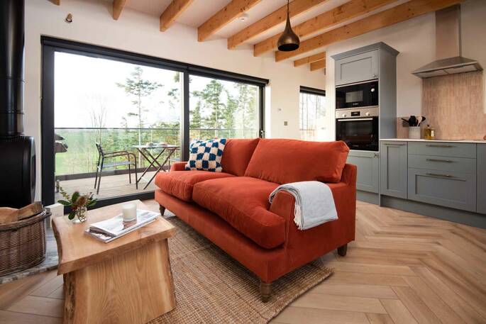 Open plan living area and kitchen