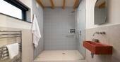 Walk in shower, sink and flushing toilet