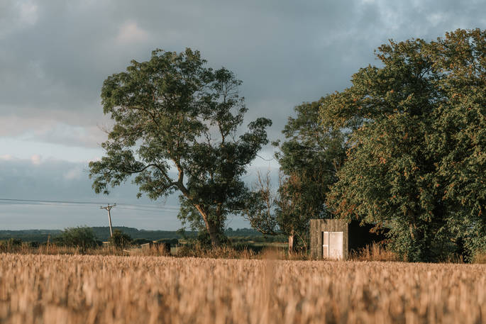 Ash at Tughall cabin, Tughall Grange Farm, Chathill, Northumberland