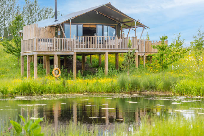 Birdholme Glamping Nottinghamshire Canopy Stars