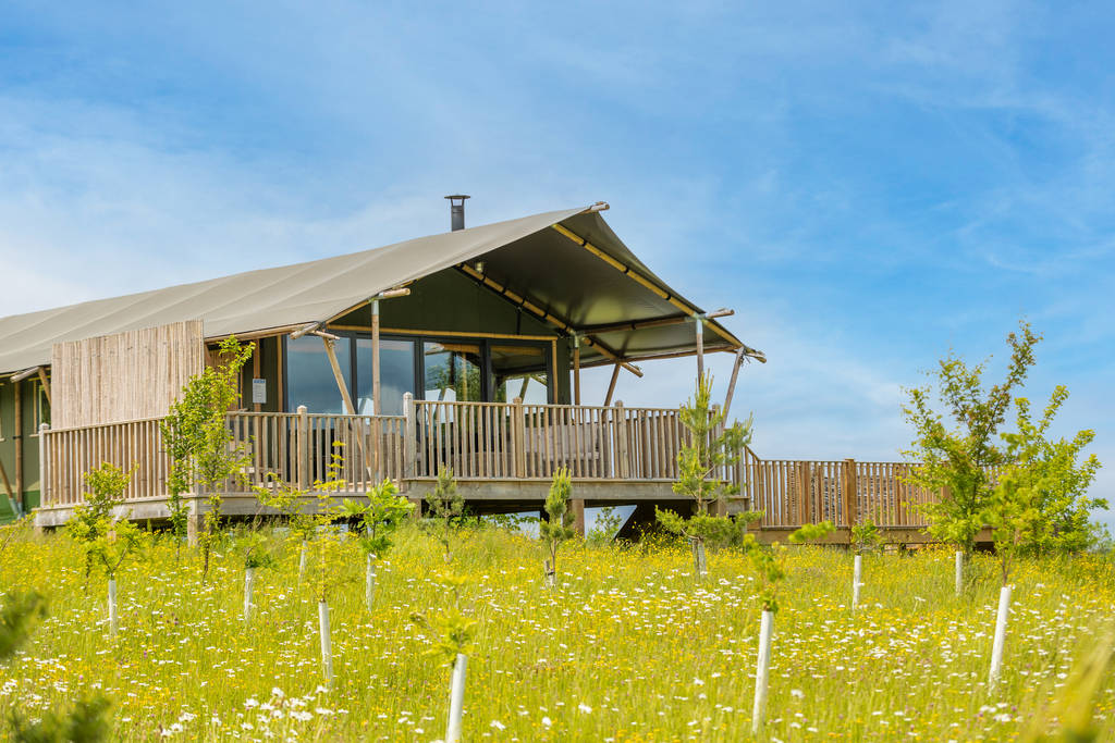 Osprey Cabin In Nottinghamshire Canopy Stars