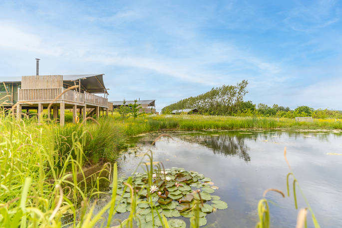Birdholme Wood Glamping. Photos by Alex Wilkinson Media (83 of 97)