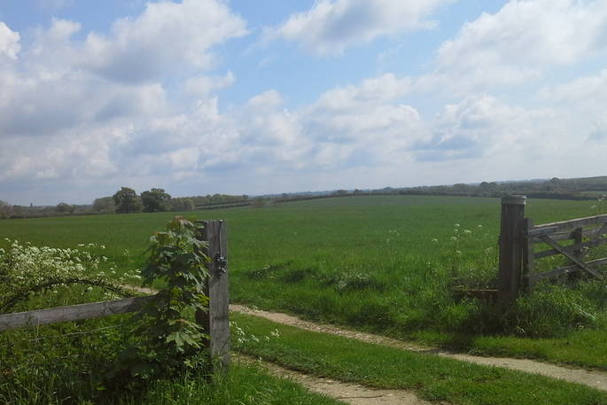 The beautiful and lush green fields surrounding the Beacon Hill Farm in Oxfordshire 
