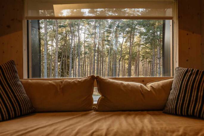 View from the living area (2)