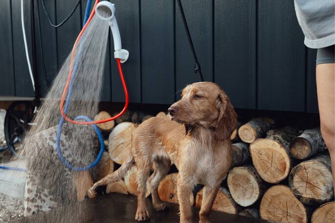 12 - Outdoor shower
