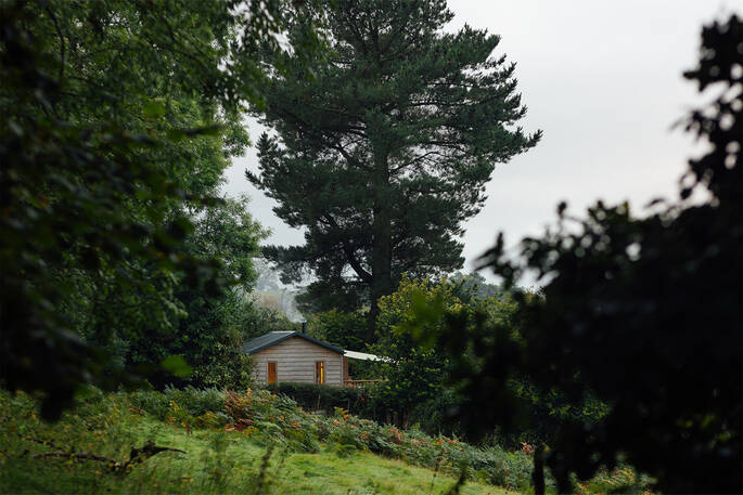 Green shutters from afar