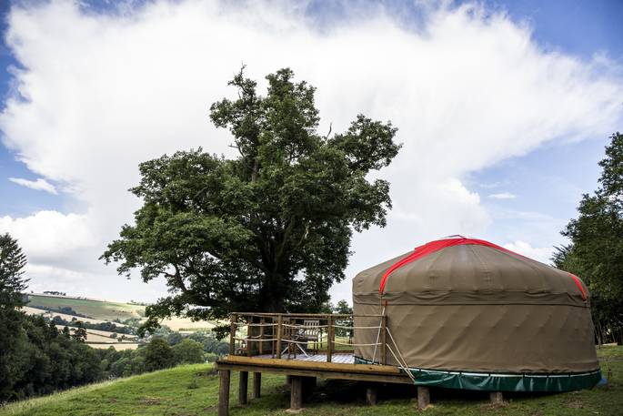 External view of yurt at Buffalo Springfield Yurt, Shropshire