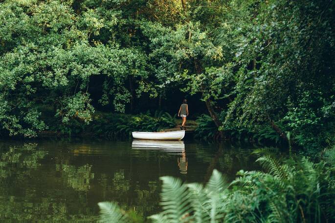 Row out onto the lake
