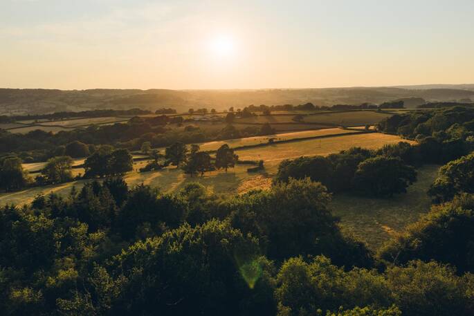 Sunset at Bewley Down Lodges