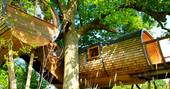 The magnificent Cheriton Treehouse in Somerset, surrounded by green trees