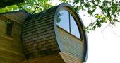 The amazing and unique curved capsule design of Cheriton Treehouse in Somerset