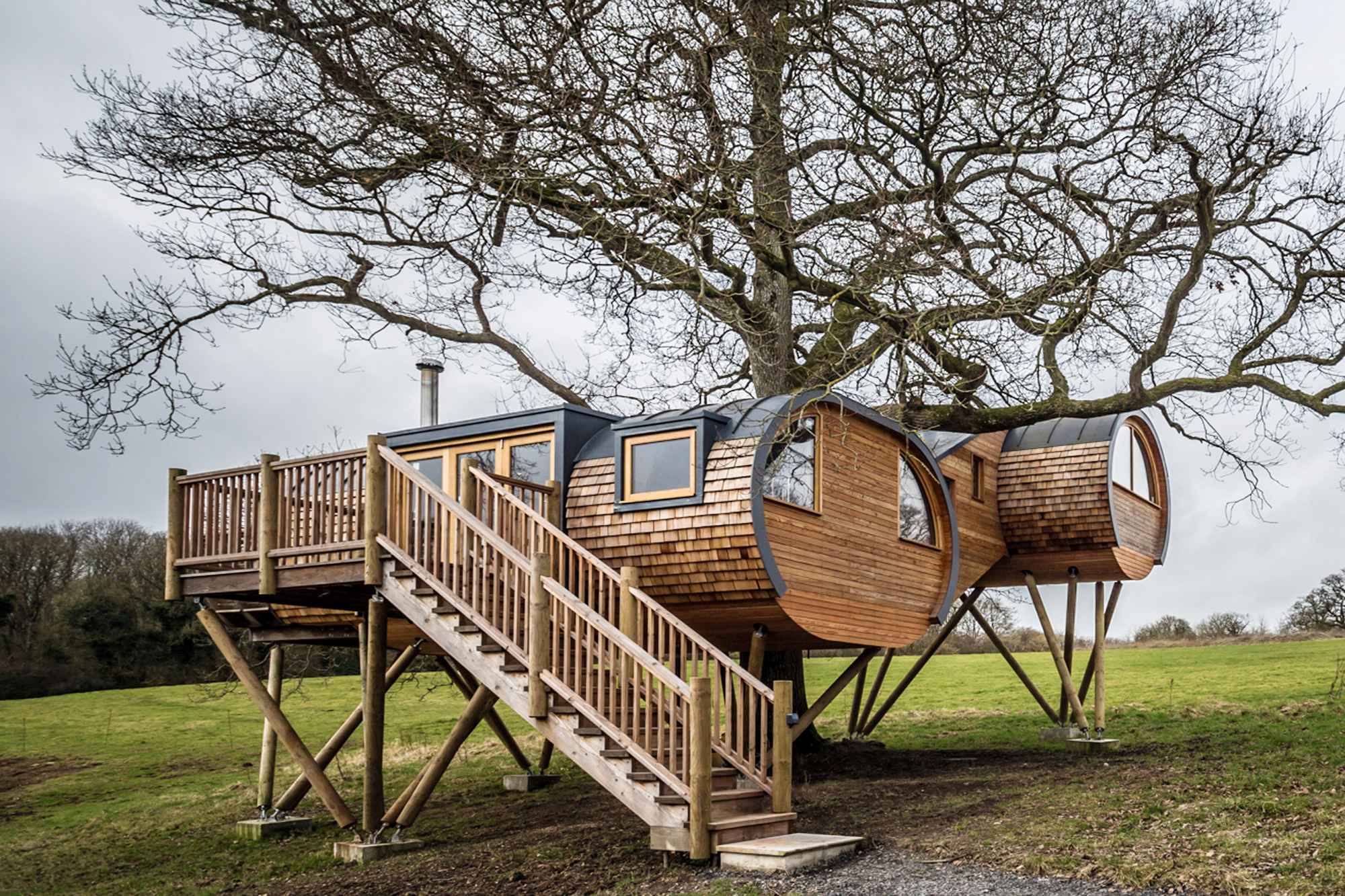 Cheriton Treehouse Canopy & Stars