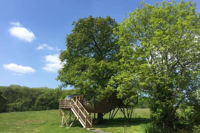 Exterior shot of Cheriton Treehouse in Somerset, surrounded by beautiful countryside