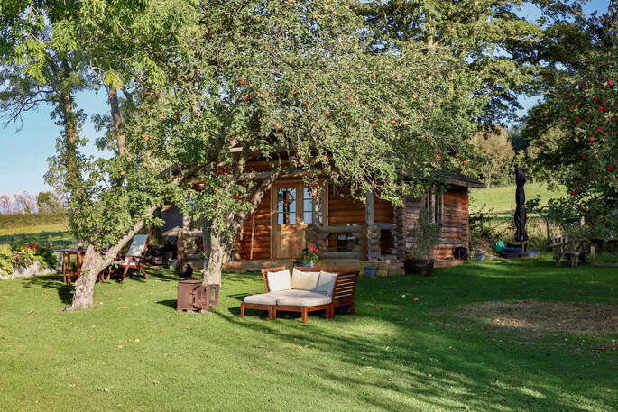 The orchard 