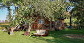 The orchard 