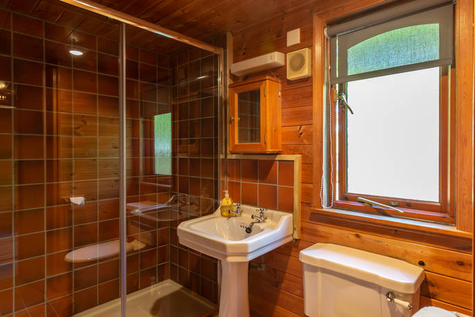 Bathroom with a shower, sink and flushing toilet