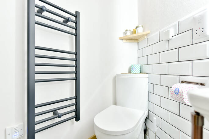 Flushing toilet and towel rail in the bathroom