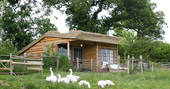 The Gardener's Shed cabin geese at Mello View, Winsham, Somerset