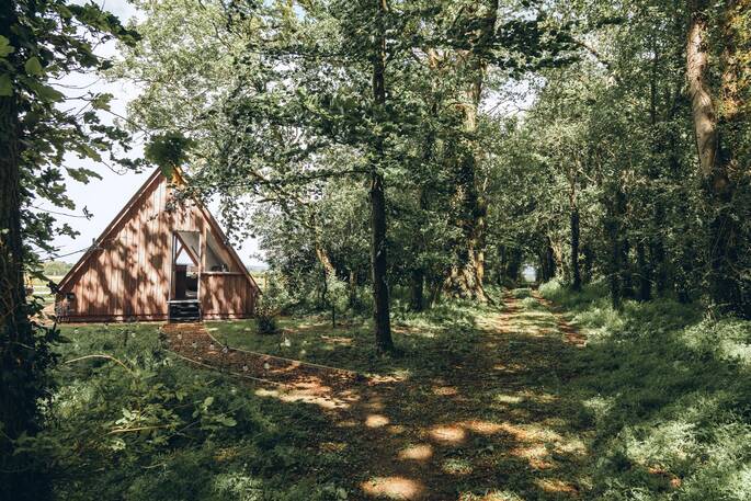 Cabin in edge of the woodland