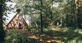 Cabin in edge of the woodland