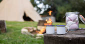 Park Tipi - fire pit and marshmallows, Park Farm, Bruton, Somerset