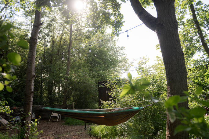 Hammock in trees