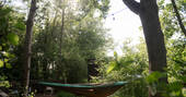 Hammock in trees