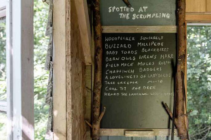 Birds spotted at The Scrumpling