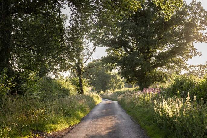 Plenty of walks nearby