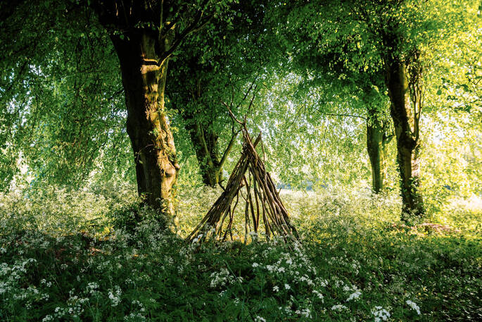 Surrounding area and walks