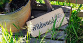 Wildwood & Little Oak-001
